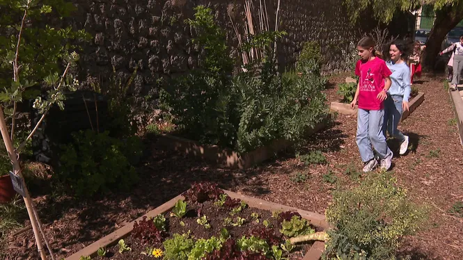 28 projectes opten a convertir-se en refugis climàtics