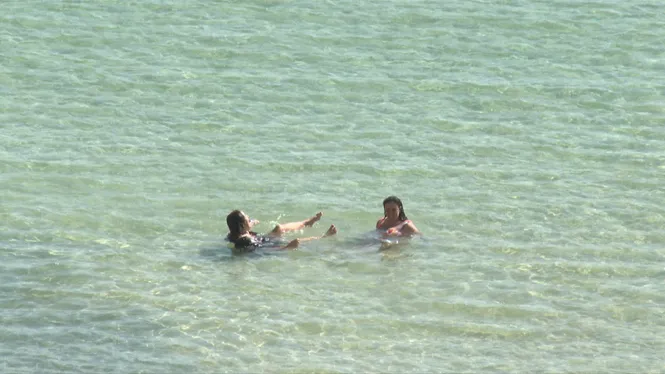 El Temps Vespre 08-04-2026