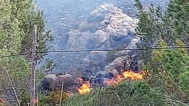 Els incendis forestals deixen 92 hectàrees cremades durant el 2021