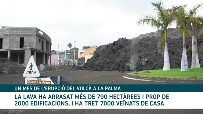 La lava ha arrassat més de 790 hectàrees i ha tret 7.000 veïnats de casa