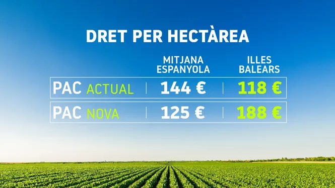 La+nova+PAC+preveu+m%C3%A9s+ajudes+per+als+pagesos+illencs