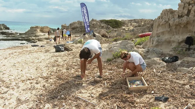 Qué Celeste Festival organitza una neteja de platja en es Carnatge