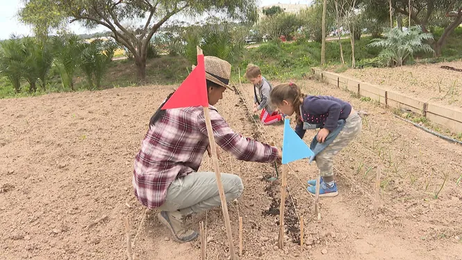Infants d’entre 5 i 12 anys participen en el taller d’agricultura que organitza el Consell de Formentera