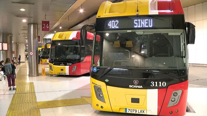 Els autobusos del TIB sumen freqüències i amplien horaris
