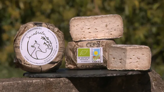 El formatge de Sa Cabreta, premi Producte ecològic de l’any 2023, guardó atorgat per APAEMA