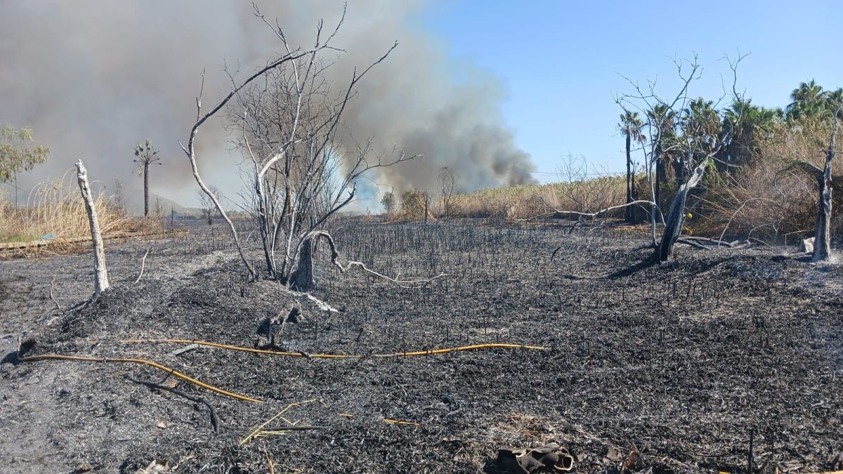 Incendi de s’Albufera: ja hi ha més de 110 hectàrees calcinades