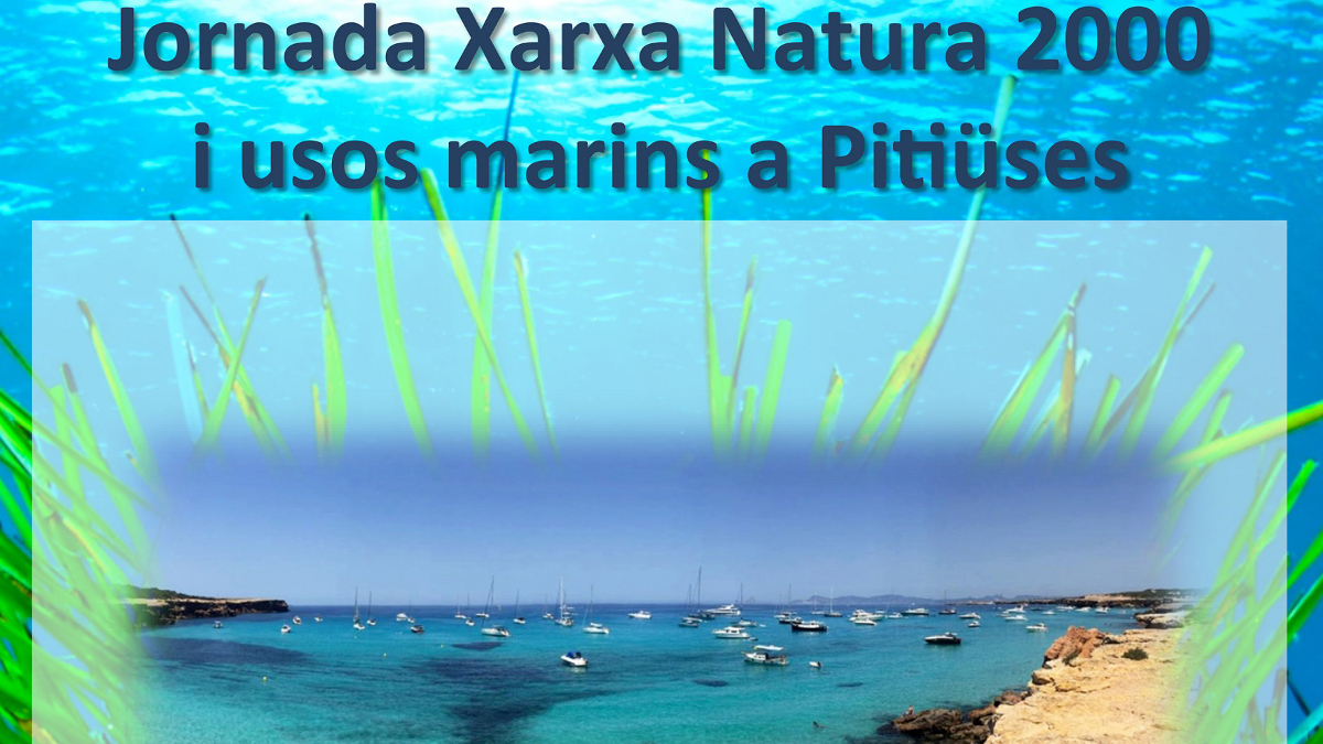 BALEARS+FA+CI%C3%88NCIA%3A+Xarxa+Natura+2000+i+usos+marins+a+les+Piti%C3%BCses