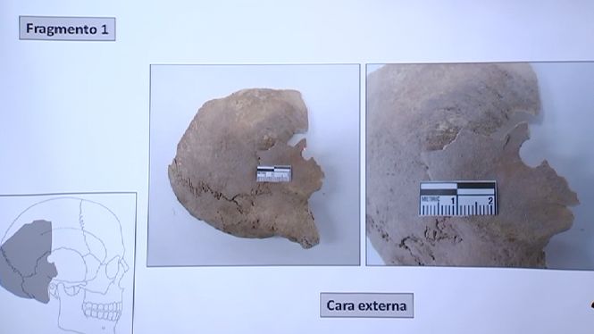 Troben cranis amb forats de projectils que podrien correspondre als afusellats a Formentera