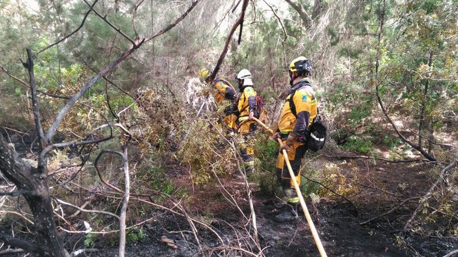 L%E2%80%99incendi+a+Cala+Saona+est%C3%A0+controlat+i+ha+cremat+14+hect%C3%A0rees