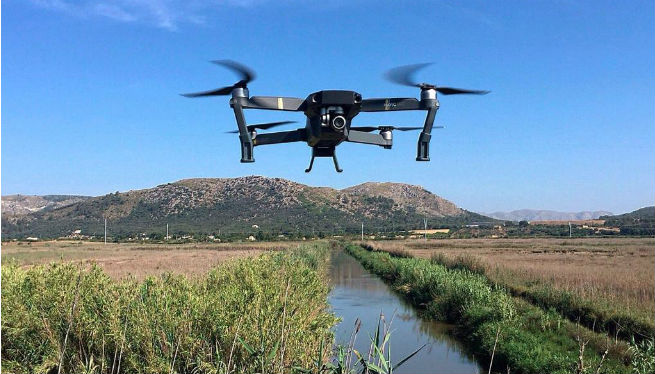 Denuncien la utilització de drons al parc natural de s’Albufera