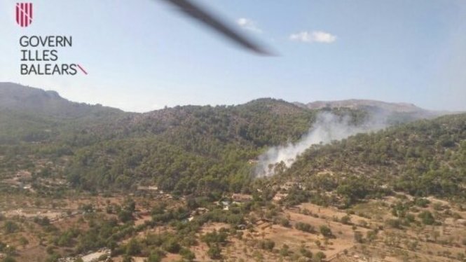 Controlat un incendi declarat a Andratx