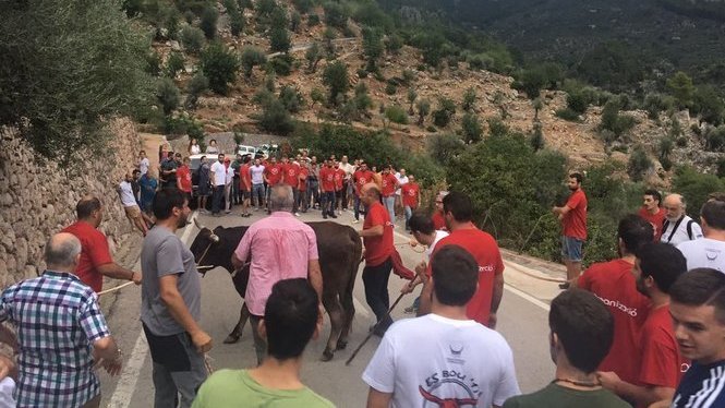 Fornalutx recupera la baixada del bou passada per aigua