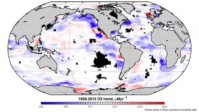 Declivi accelerat de l’oxigen en els oceans