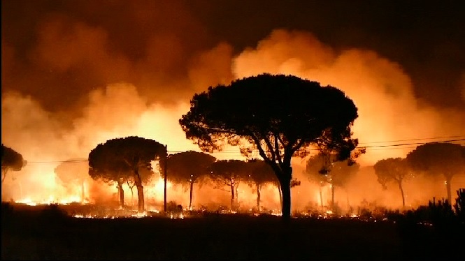 Un+virulent+incendi+a+Huelva+afecta+el+parc+de+Do%C3%B1ana