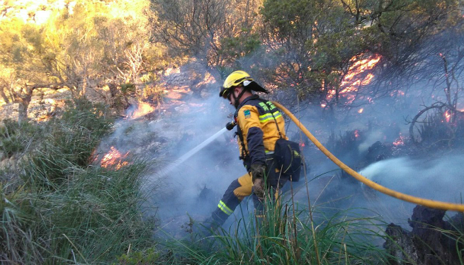 15 brigadistes apaguen un foc a Pollença