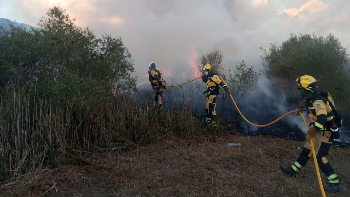 Extingit l’incendi forestal del Parc Natural de s’Albufera