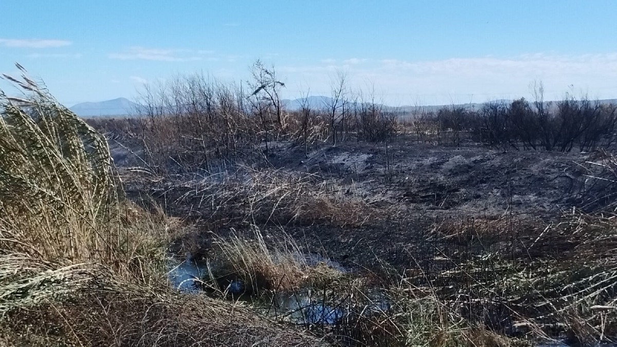 L’incendi de s’Albufera, controlat