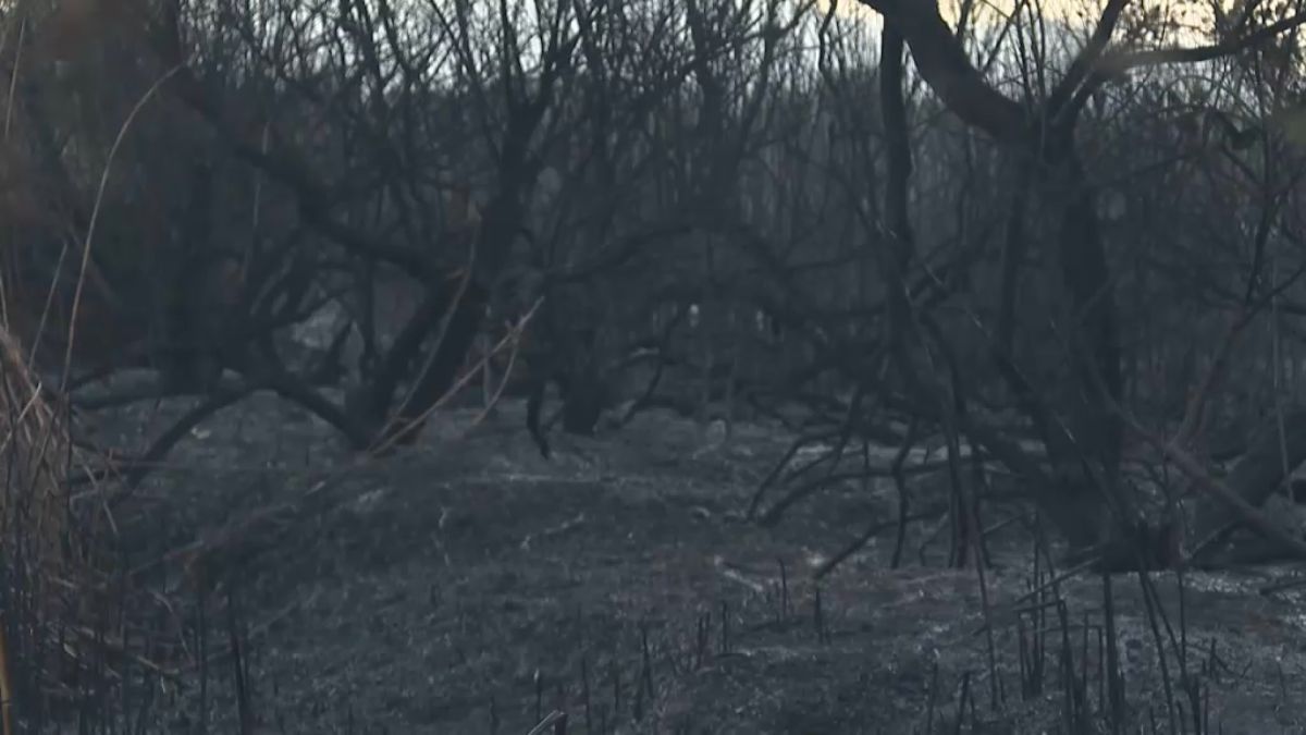 El vent dificulta que es pugui controlar l’incendi de s’Albufera