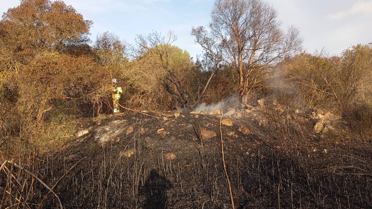 Controlat l’incendi a s’Albufera