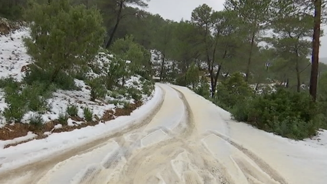 Eivissa+apareix+amb+neu+granulada