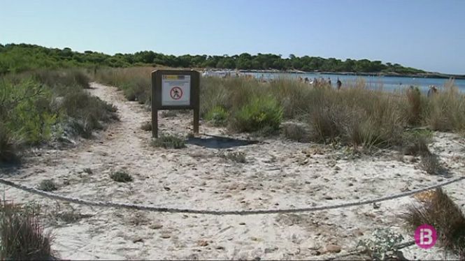 Nou+platges+verges+de+Menorca%2C+incloses+el+Talaier+i+el+Pilar%2C+tindran+sanitaris+port%C3%A0tils