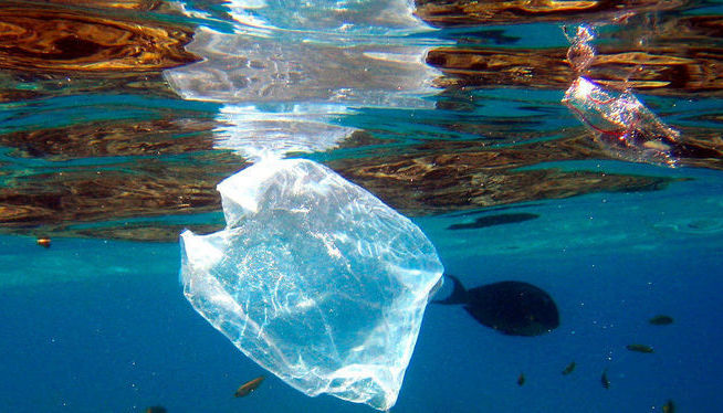 Retiren mitja tona d’escombraries diàries de la mar balear el mes de juliol