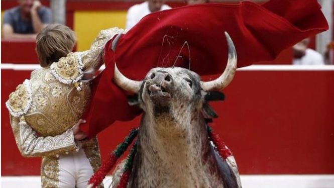 La Llei balear de toros, de nou en vigor