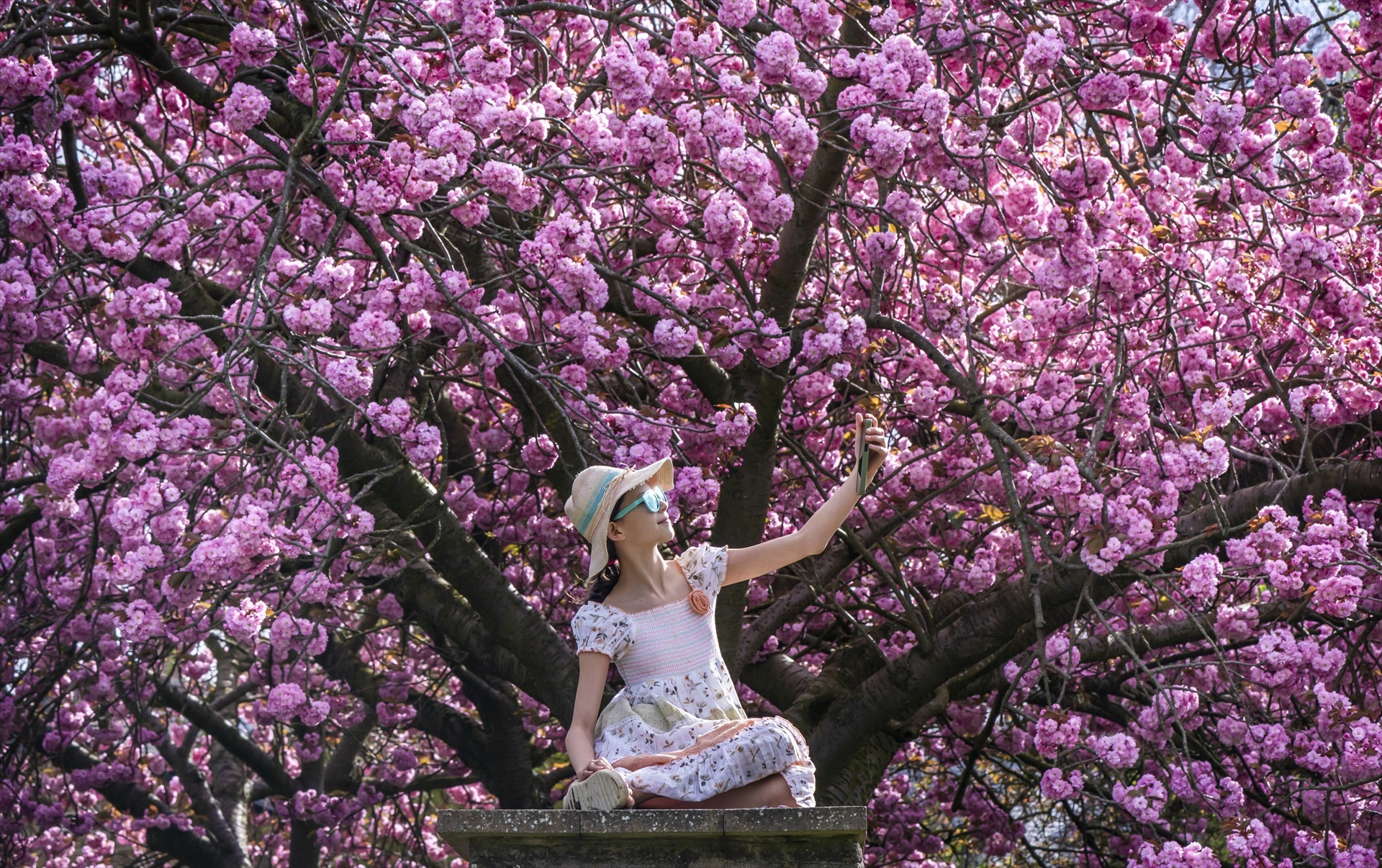 Primavera al Regne Unit, parc de Rothwell a la ciutat de Leeds.  Danny Lawson / PA Wire / dpa 